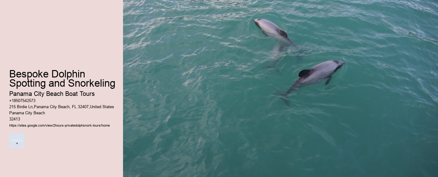 Bespoke Dolphin Spotting and Snorkeling