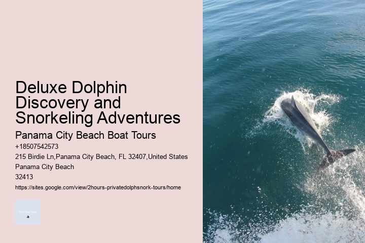 The Magic Of Dolphin Watching: Best Times And Locations