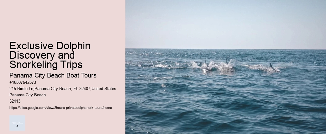 Dolphin Tours Pensacola