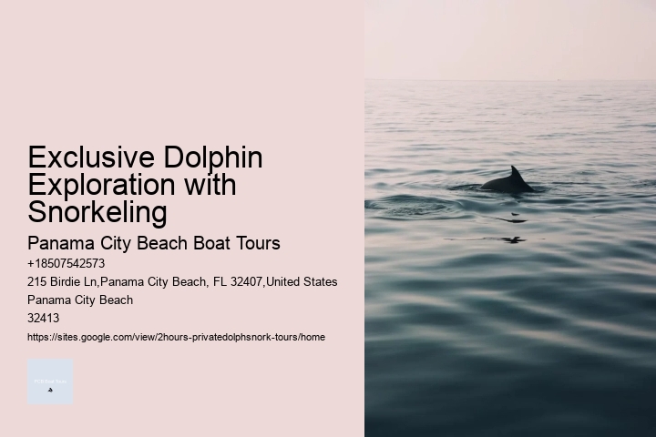 VIP Dolphin Safari with Snorkeling
