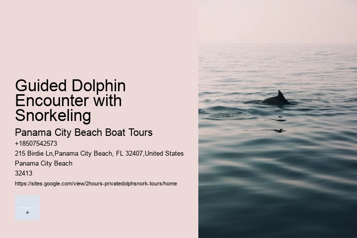 Indian River Dolphin Tours