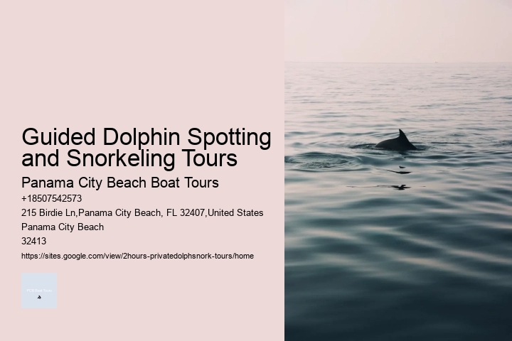 Guided Dolphin Spotting and Snorkeling Tours
