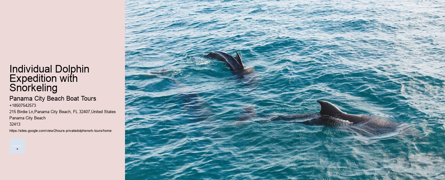 Individual Dolphin Expedition with Snorkeling