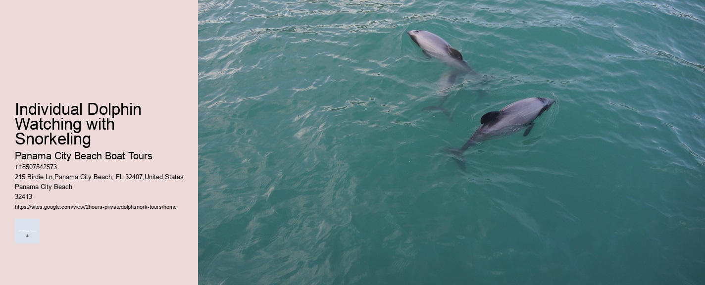 Individual Dolphin Watching with Snorkeling