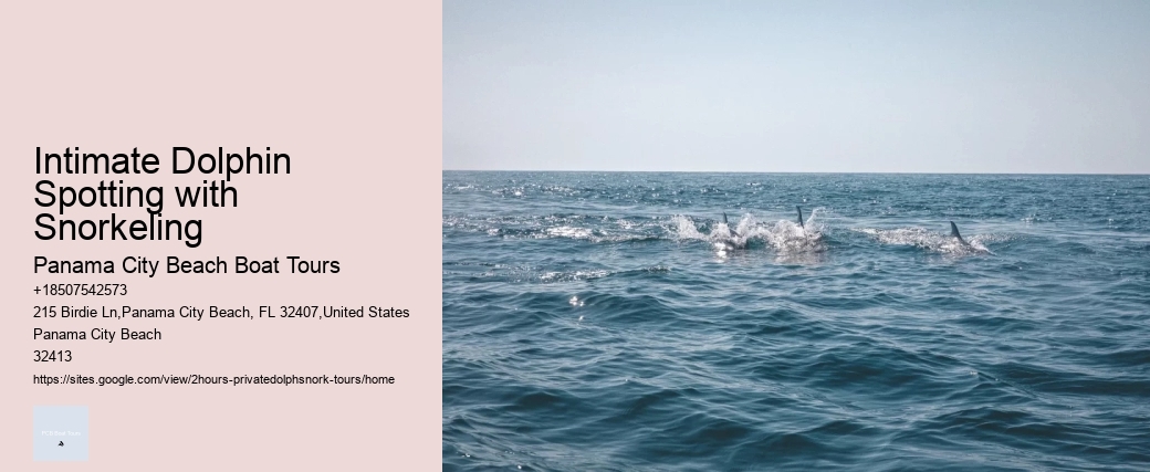 Intimate Dolphin Spotting with Snorkeling