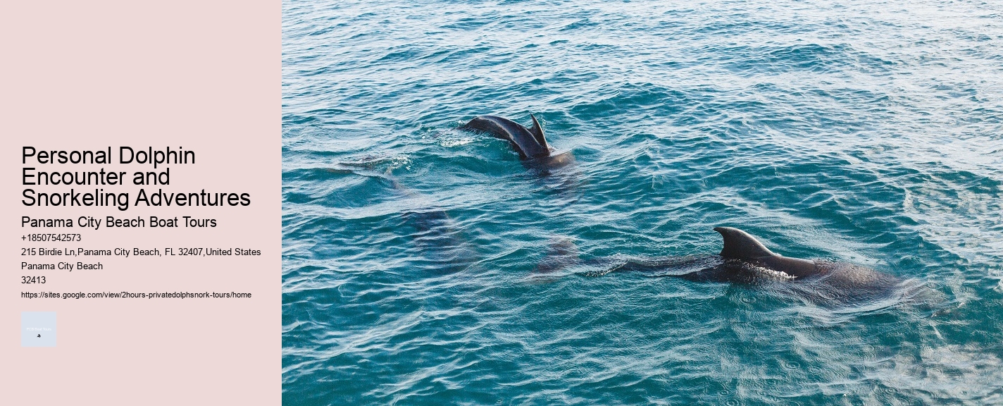 Personal Dolphin Encounter and Snorkeling Adventures