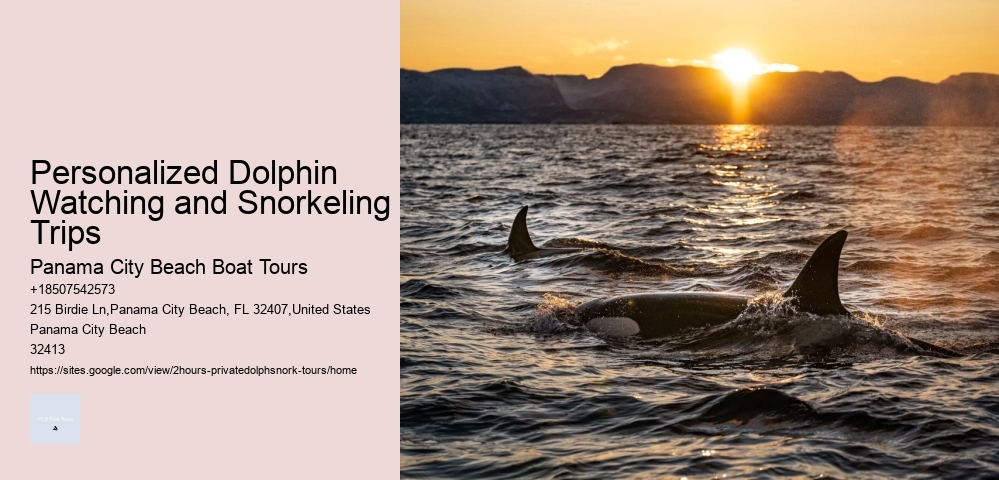 Dolphin Tours In Destin Fl