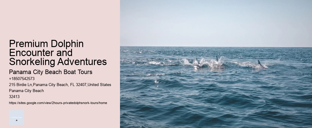 Take A Thrill Ride With Sea Screamer Dolphin Tours