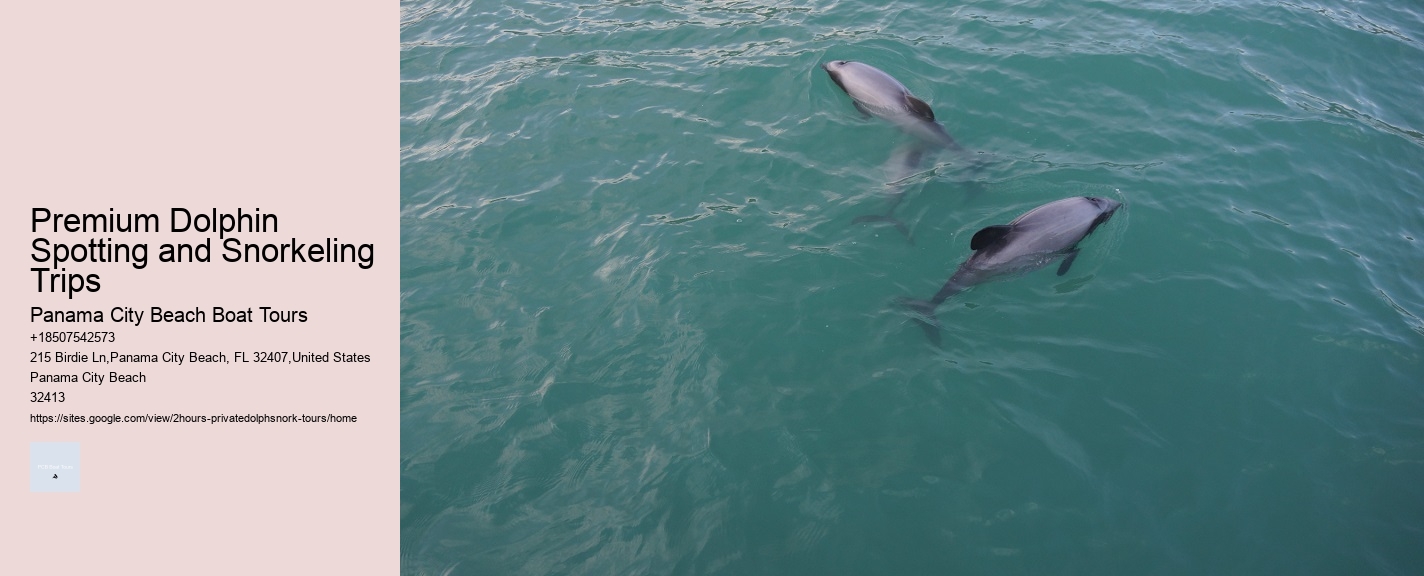 Exclusive Dolphin Exploration with Snorkeling