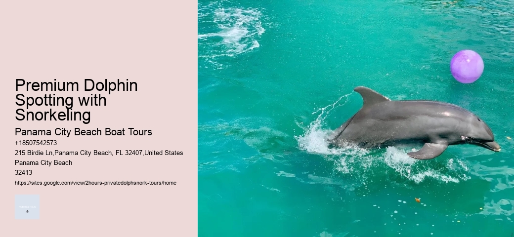 Key West Dolphin Tours