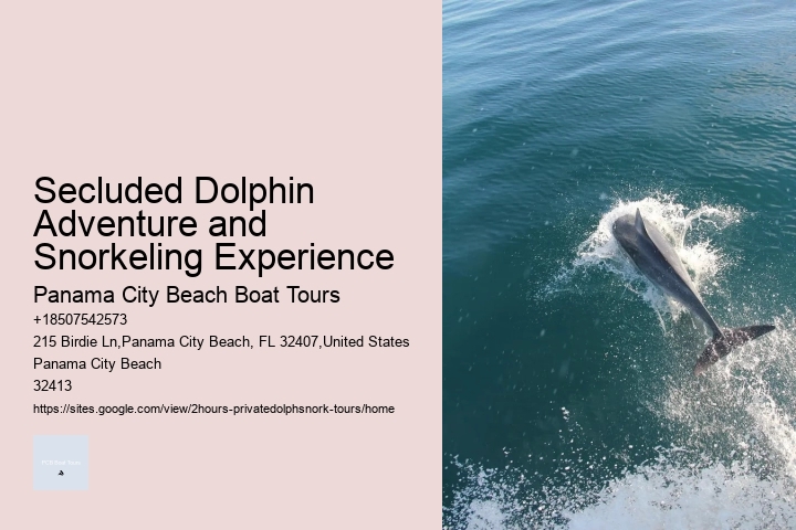 Dolphin Tours Near Me