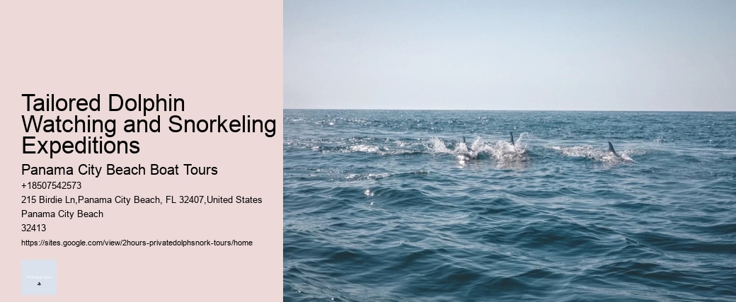 Tailored Dolphin Watching and Snorkeling Expeditions